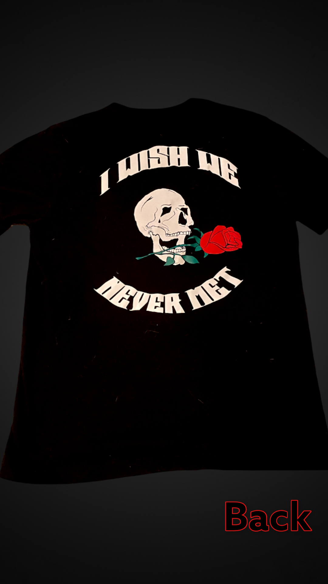 i wish we never met